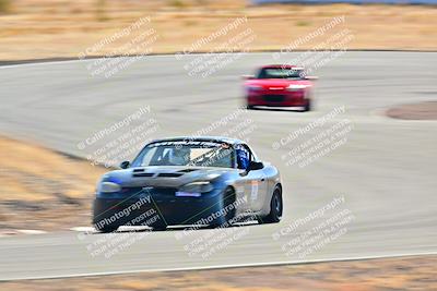 media/Jan-29-2025-Open Track Racing (Wed) [[4d1025e356]]/Red Group/Session 2 (Turn 4)/